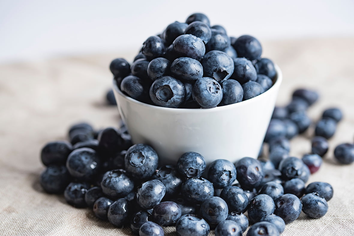 Best Blueberry Powder – Which One To Buy – 10 Tips