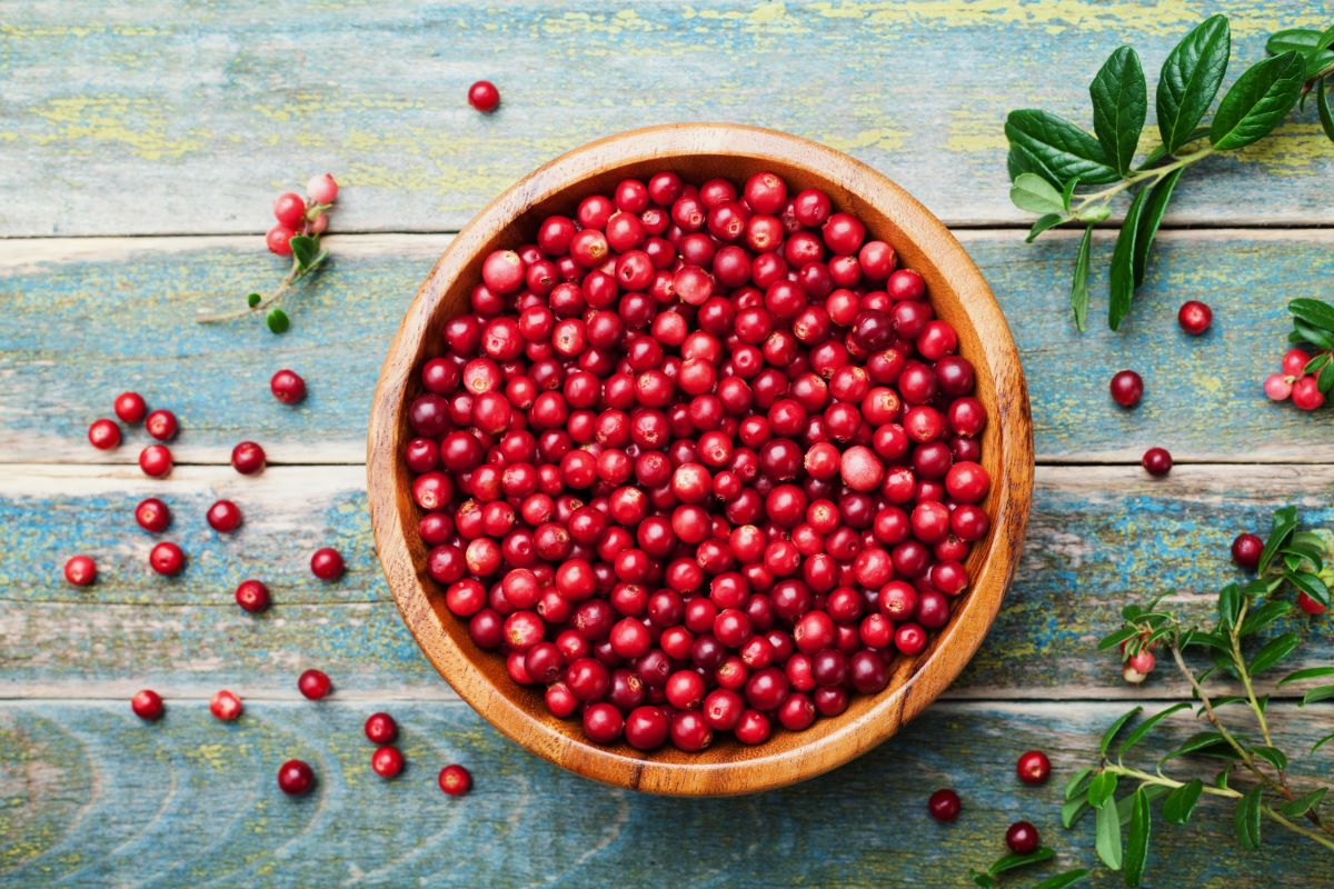 How to find the best cranberry powder - Arctic Flavors