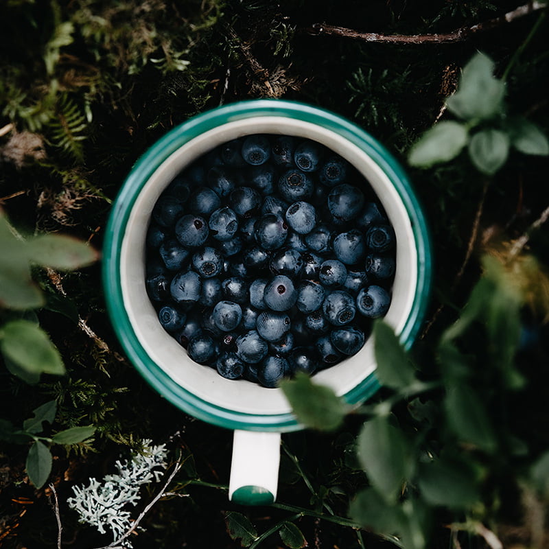 Wild blueberry powder (bilberry powder) is a superfood powder by Arctic Flavors. Premium quality blueberry powder from the pure forests of Finland.