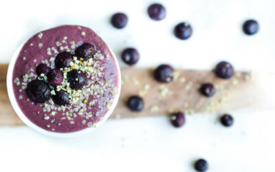 Blueberry Powder vs Fresh Blueberries – 6 στοιχεία που πρέπει να γνωρίζετε