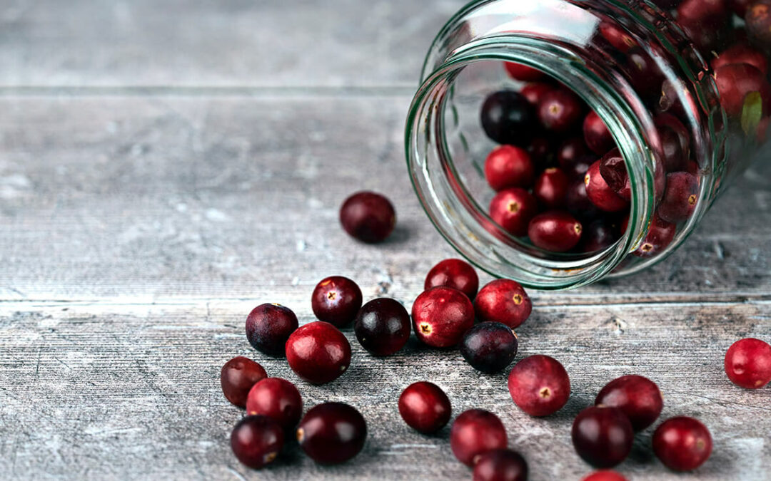 Como encontrar o melhor pó de cranberry - Arctic Flavors