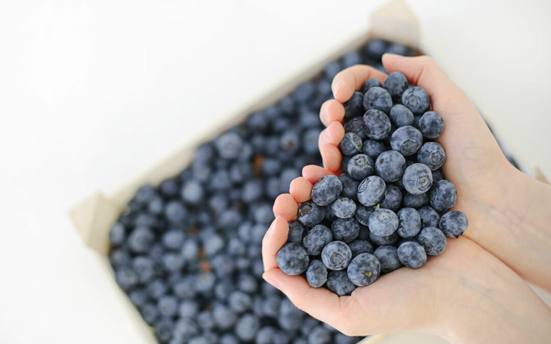 Blueberry antioxidants - what are they? What are the benefits? Read Arctic Flavors blog on blueberry antioxidants.