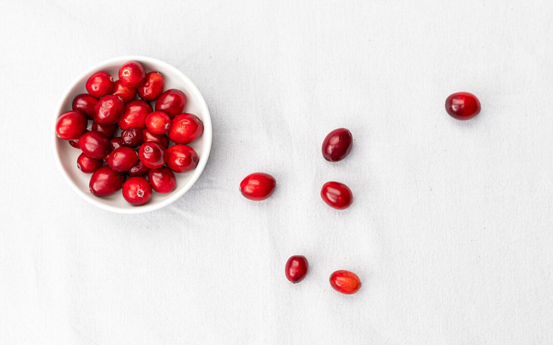 Lingonberry vs cranberry. Is lingonberry the same as cranberry? Here we summarize their main differences and similarities.
