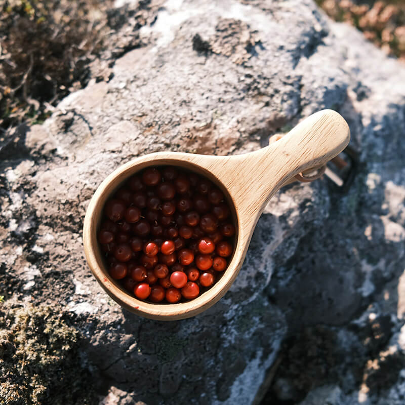 Poudre d'airelles rouges, qualité supérieure et poudre d'airelles sauvages. Rempli d'antioxydants, faible en sucre et en calories. Produit naturel 100% - rien d'autre ajouté.