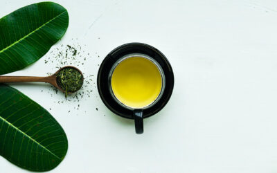 Benefícios do chá de urtiga – 6 benefícios surpreendentes do chá de urtiga para a saúde