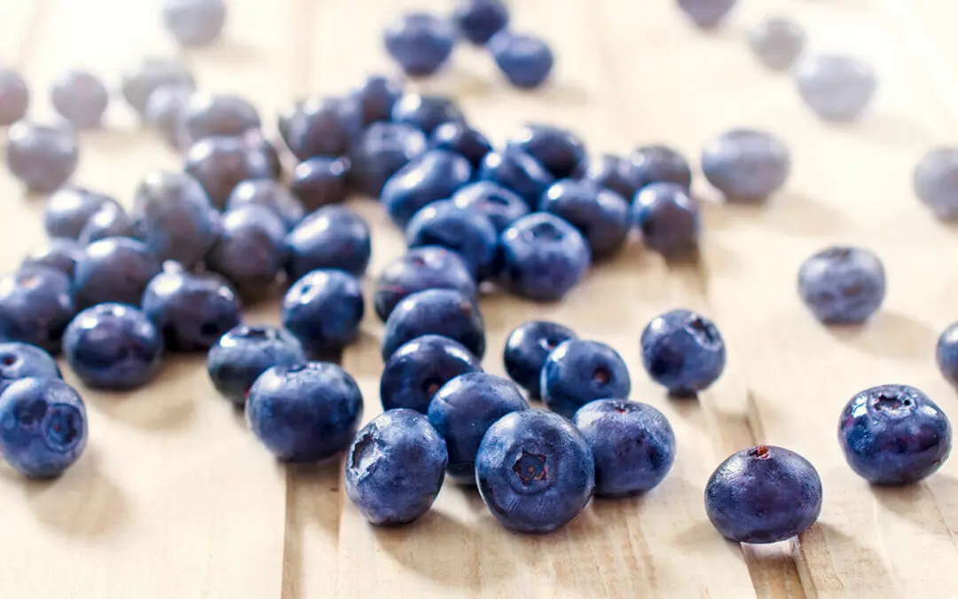 In this blog post, we explain what are the typical colors of blueberries, and explain why the color varies