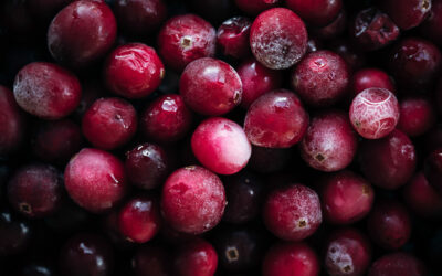 Where to Buy Cranberries – Top 3 Places Where to Find Cranberries Near Me