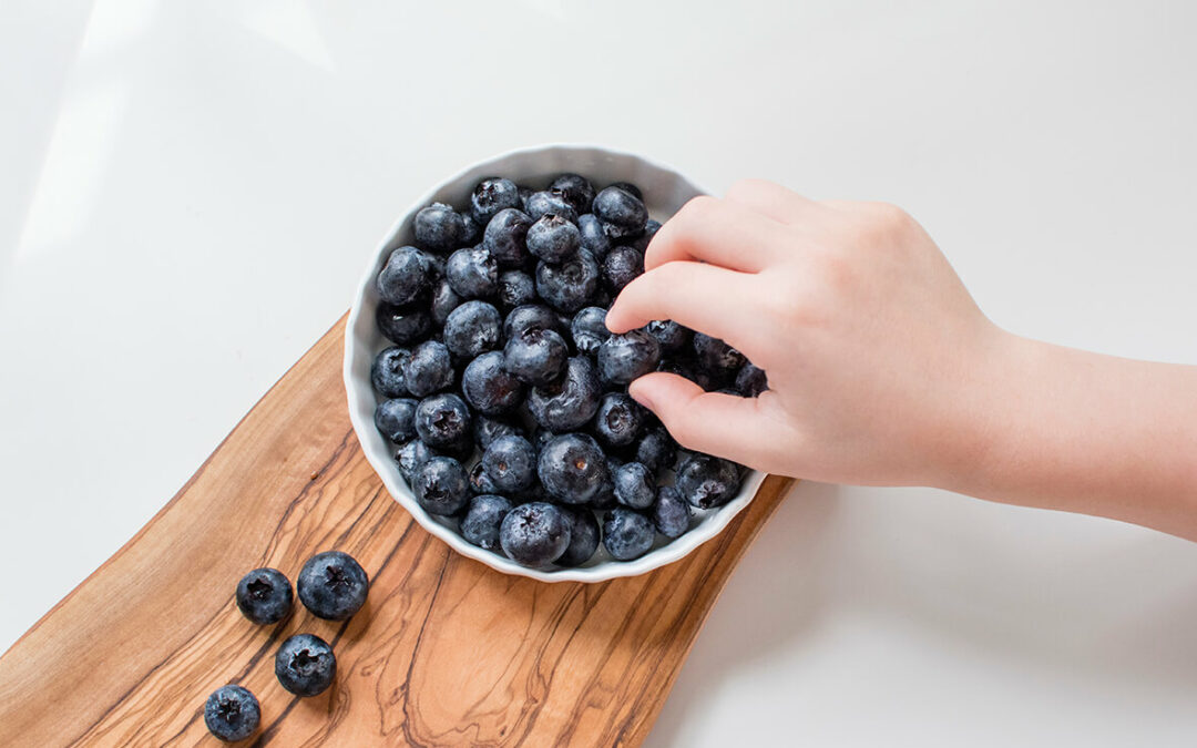 Discover the difference between organic vs non organic blueberries & wild blueberries vs organic blueberries & are wild blueberries better.